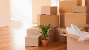 Packers and Movers Dharmatala