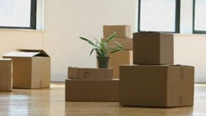 Packers and Movers Narenderpur