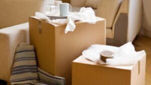 Packers and Movers Newtown